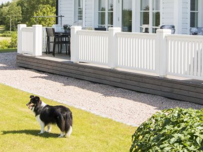 Berättelser om drömmer som blivit verkliga - Teri-Hus