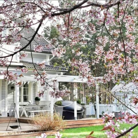 Iloista äitienpäivää! 💕

Glad mors dag! 💕

Kuva/foto: @suskinkotona
#äitienpäivä #morsdag #kirsikankukat #cherryblossoms #spring #teritalot #terihus #talopaketti #huspaket #uniikkikoti  #unelmienkoti #drömhem #inspiration #rakentaminen #talonrakennus #taloprojekti #uudisrakentaminen #rakentajat2020 #rakennusprojekti #omakotitaloprojekti #home #homeinspiration #homeinspirationideas #nordichome #finnishhome