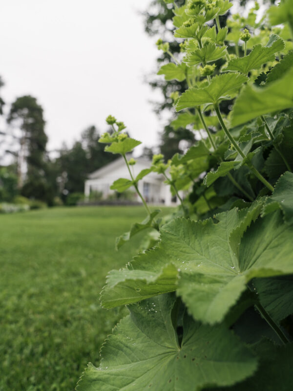 Huset är lika ståtligt efter 37 år
