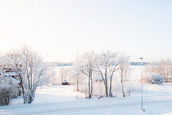 Ljust trähus i vitt